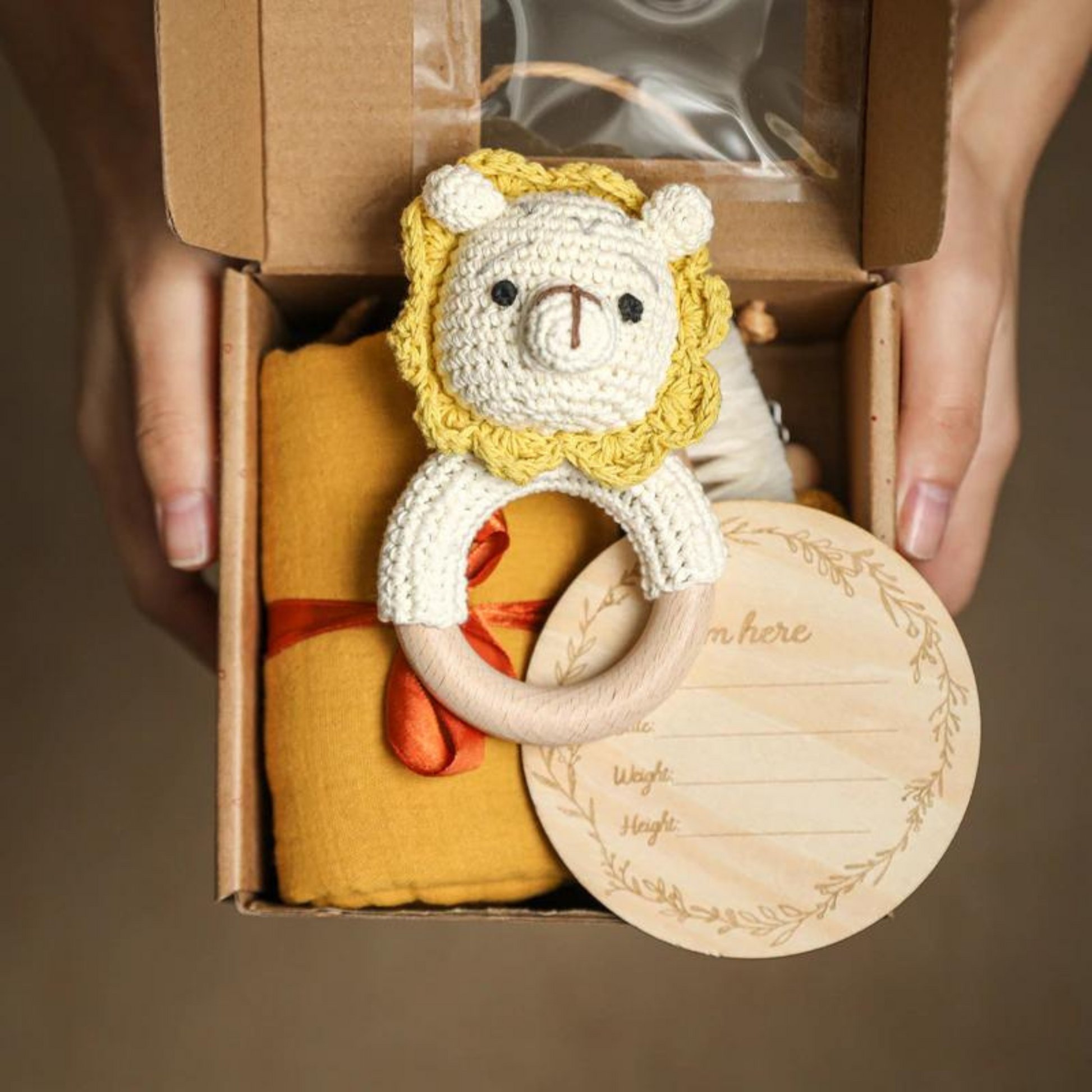 6 Piece Baby Accessory Box Gift Set Lion